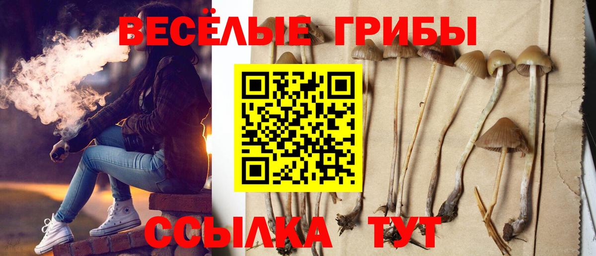 Галлюциногенные грибы мицелий  Вход с VPN  Дагестанские Огни  Галлюциногенные грибы прущие грибы 