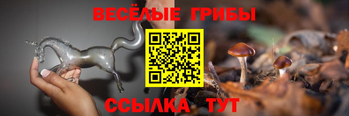 Галлюциногенные грибы GOLDEN TEACHER Дагестанские Огни